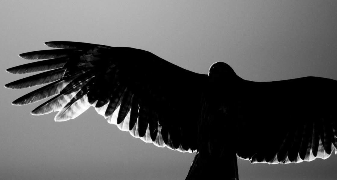 株式会社ファルコン3